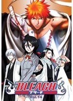Bleach DVD Vol. 14 (eps.104-111) Japanese Version (Anime DVD)