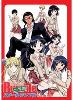 School Rumble Second Season [Nigakki] Vol. 1 DVD (1-13) Japanese