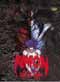 Amon DVD: Apocalypse of Devilman ( Anime DVD )
