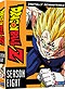 Dragon Ball Z DVD: Season 8: Babidi & Majin Buu Sagas 6 DVD Boxset (Anime DVD)