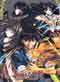 Flame Of Recca DVD TV Series Boxset (Japanese Ver)
