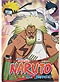 Naruto Shippuden DVD Vol. 500-503 (Japanese Version)