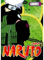Naruto DVD Vol. 33 Naruto Shippuden (eps. 249-254) - Japanese Version (Anime DVD)