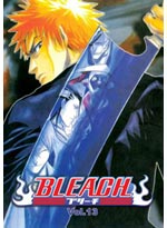 Bleach DVD Vol. 13 (eps. 96-103) Japanese Version (Anime DVD)