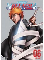 Bleach DVD 06: The Entry (Original and Uncut)