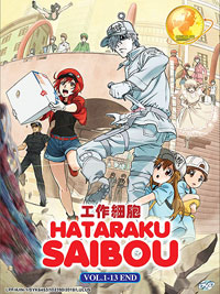 Hataraku Saibou [Cells at work] DVD Complete 1-13 (Japanese Ver)  - Anime