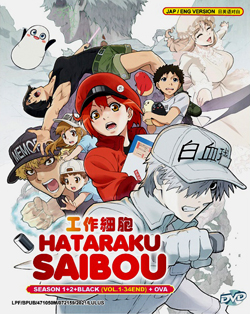 Hataraku Saibou (Cells at Work!) Season 1+2 + Black (Vol. 1-34 End) + OVA -*English Dubbed*