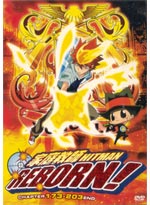 Katekyo Hitman Reborn! DVD Collection 4 (Ch.173-203) - (Japanese Vers) Anime