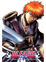 Bleach DVD (TV Series) Part 2 (eps. 25-49) - The Perfect Collection (English)