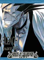 Bleach TV DVD Part 05 (eps. 84-95) - Japanese Ver.