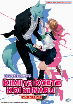 Kimi to Koete Koi ni Naru (With You, Our Love Will Make It Through) Vol. 1-12 End - *English Dubbed*