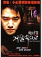 Into The Mirror DVD (Live Action Movie)