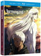 Jormungand DVD/Blu-ray The Complete Second Season: Pefect Order - [DVD/Blu-ray Combo] Anime