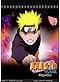 Naruto DVD Naruto Shippuden Part 11 (eps. 243-264) Japanese Ver. (Anime DVD)