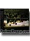 Shadow Hearts Arrangetracks, Near Death Experience [Music CD]