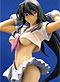Ikki Tousen 8.5" Kanu Unchou (Gray See Through Version) PVC figure Statue [Limited Releases]